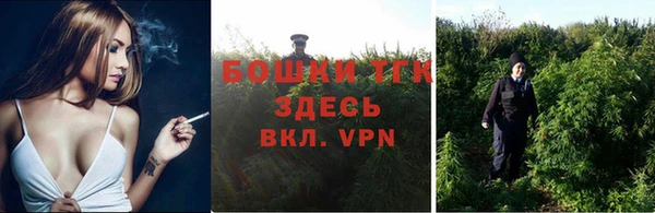 ешки Вяземский