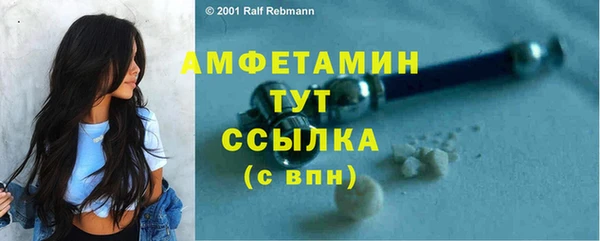 ешки Вяземский