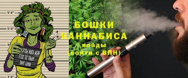 ешки Вяземский