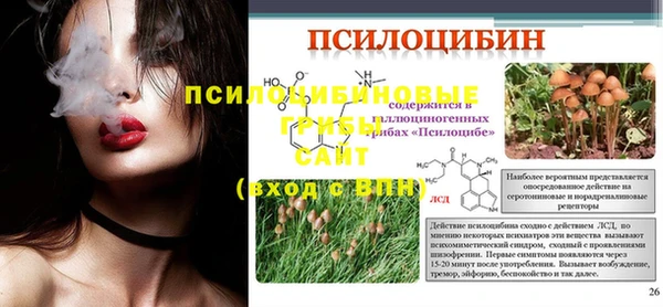 spice Вязники