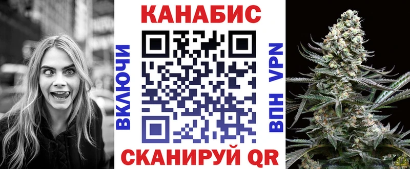 Марихуана сатива Нестеровская